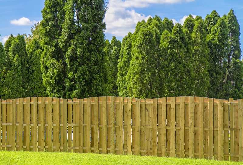 Eco-friendly Bamboo Fence